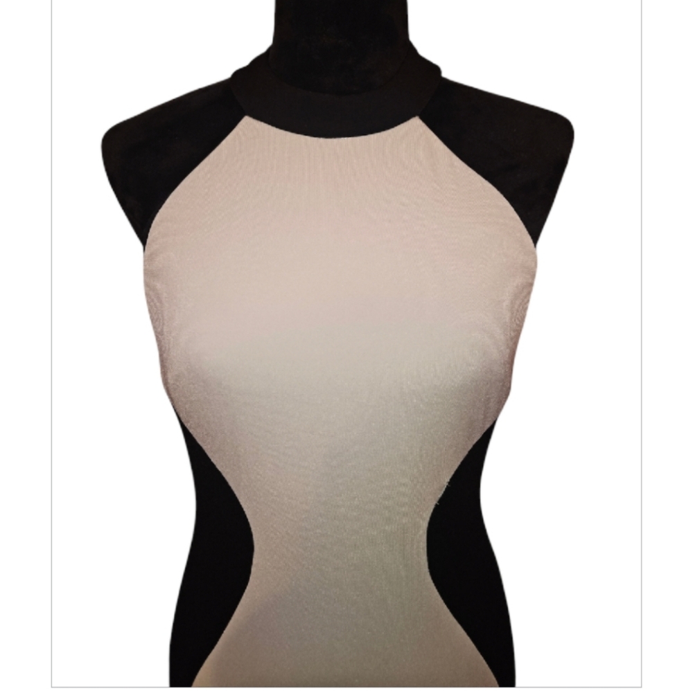 Cache Formal Evening Halter Top Black & White Illusion Gown - Size 8 - Picture 2 of 8